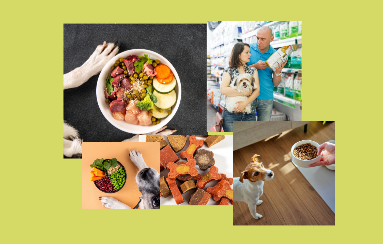 Futterberatung (1080 x 600 px) (1246 x 796 px)