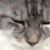 Profilbild von Astrid Mack-Gram