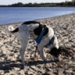 Profilbild von Friederike